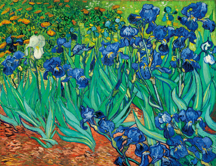  文森特·威廉·梵高  Vincent Willen Van Gogh ——鸢尾花1889